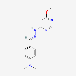 molecular formula C14H17N5O B3843357 4-(dimethylamino)benzaldehyde (6-methoxy-4-pyrimidinyl)hydrazone 