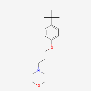 molecular formula C17H27NO2 B3847098 4-[3-(4-tert-butylphenoxy)propyl]morpholine 