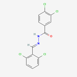 molecular formula C14H8Cl4N2O B3847611 3,4-dichloro-N'-(2,6-dichlorobenzylidene)benzohydrazide 