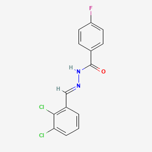 molecular formula C14H9Cl2FN2O B3847707 N'-(2,3-dichlorobenzylidene)-4-fluorobenzohydrazide 