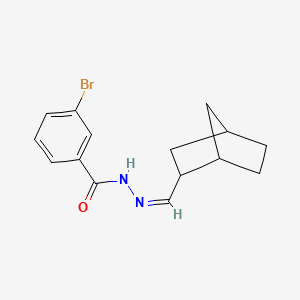molecular formula C15H17BrN2O B3847757 N'-(bicyclo[2.2.1]hept-2-ylmethylene)-3-bromobenzohydrazide 