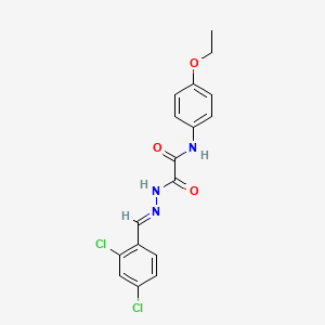molecular formula C17H15Cl2N3O3 B3848141 2-[2-(2,4-dichlorobenzylidene)hydrazino]-N-(4-ethoxyphenyl)-2-oxoacetamide 