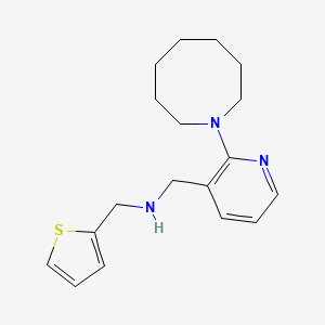 molecular formula C18H25N3S B3848875 1-[2-(1-azocanyl)-3-pyridinyl]-N-(2-thienylmethyl)methanamine 