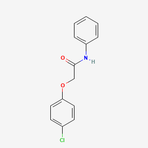 molecular formula C14H12ClNO2 B3849493 2-(4-chlorophenoxy)-N-phenylacetamide CAS No. 62095-56-1