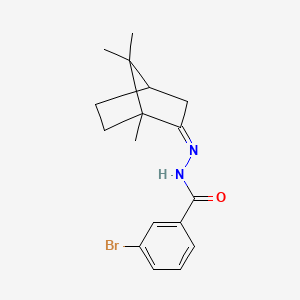 molecular formula C17H21BrN2O B3849606 3-bromo-N'-(1,7,7-trimethylbicyclo[2.2.1]hept-2-ylidene)benzohydrazide 