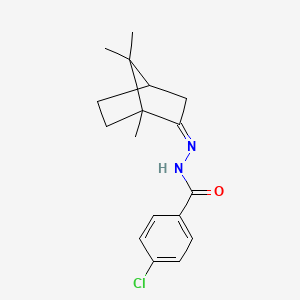 molecular formula C17H21ClN2O B3849612 4-chloro-N'-(1,7,7-trimethylbicyclo[2.2.1]hept-2-ylidene)benzohydrazide 