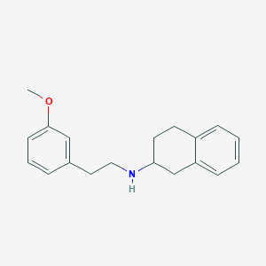 molecular formula C19H23NO B3850312 N-[2-(3-methoxyphenyl)ethyl]-1,2,3,4-tetrahydro-2-naphthalenamine 