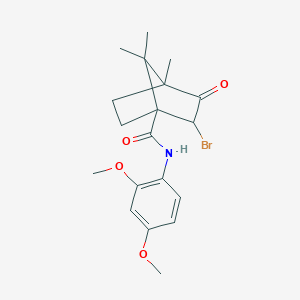 molecular formula C19H24BrNO4 B385223 2-bromo-N-(2,4-dimethoxyphenyl)-4,7,7-trimethyl-3-oxobicyclo[2.2.1]heptane-1-carboxamide CAS No. 1005085-26-6