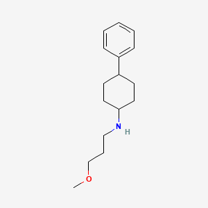 molecular formula C16H25NO B3852940 (3-methoxypropyl)(4-phenylcyclohexyl)amine 