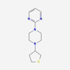 molecular formula C12H18N4S B3853075 2-[4-(tetrahydro-3-thienyl)-1-piperazinyl]pyrimidine 