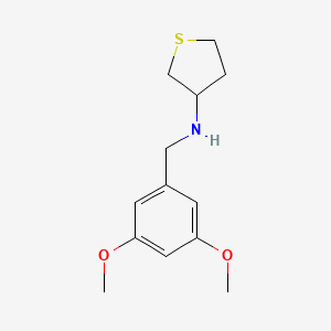 molecular formula C13H19NO2S B3853834 (3,5-dimethoxybenzyl)tetrahydro-3-thienylamine 