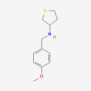 molecular formula C12H17NOS B3853838 (4-methoxybenzyl)tetrahydro-3-thienylamine CAS No. 416866-62-1