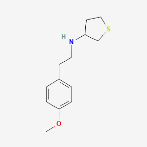 N-[2-(4-methoxyphenyl)ethyl]tetrahydro-3-thiophenamine