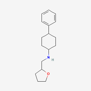 molecular formula C17H25NO B3854107 (4-phenylcyclohexyl)(tetrahydro-2-furanylmethyl)amine 