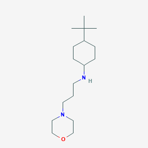 molecular formula C17H34N2O B3854146 (4-tert-butylcyclohexyl)[3-(4-morpholinyl)propyl]amine 