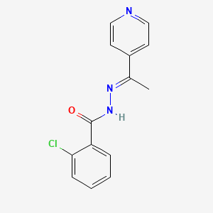 molecular formula C14H12ClN3O B3854319 2-chloro-N'-[1-(4-pyridinyl)ethylidene]benzohydrazide 