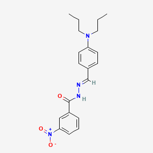 molecular formula C20H24N4O3 B3854381 N'-[4-(dipropylamino)benzylidene]-3-nitrobenzohydrazide 