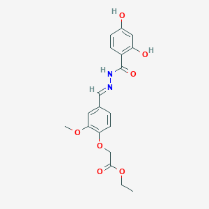 molecular formula C19H20N2O7 B3854496 ethyl {4-[2-(2,4-dihydroxybenzoyl)carbonohydrazonoyl]-2-methoxyphenoxy}acetate 