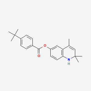 molecular formula C23H27NO2 B3854886 2,2,4-trimethyl-1,2-dihydro-6-quinolinyl 4-tert-butylbenzoate 