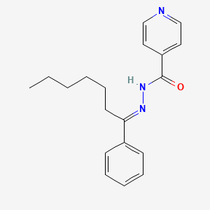 molecular formula C19H23N3O B3855021 N'-(1-phenylheptylidene)isonicotinohydrazide 