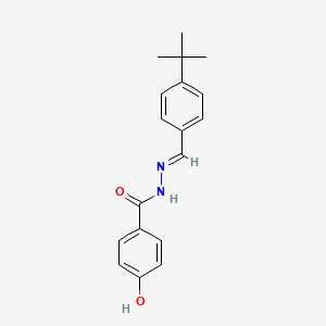 molecular formula C18H20N2O2 B3855217 N'-(4-tert-butylbenzylidene)-4-hydroxybenzohydrazide 