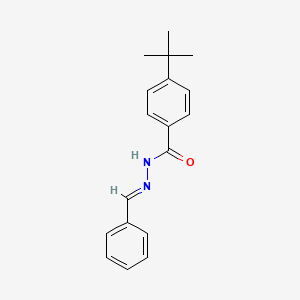molecular formula C18H20N2O B3855434 N'-benzylidene-4-tert-butylbenzohydrazide 