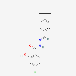 molecular formula C18H19ClN2O2 B3855816 N'-(4-tert-butylbenzylidene)-4-chloro-2-hydroxybenzohydrazide 