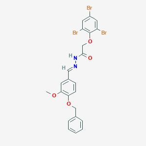 molecular formula C23H19Br3N2O4 B3856206 N'-[4-(benzyloxy)-3-methoxybenzylidene]-2-(2,4,6-tribromophenoxy)acetohydrazide 