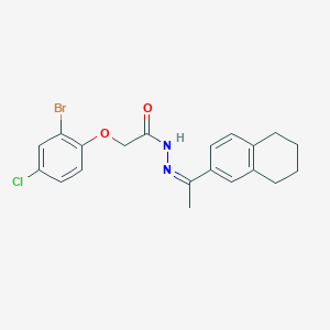 molecular formula C20H20BrClN2O2 B3856606 2-(2-bromo-4-chlorophenoxy)-N'-[1-(5,6,7,8-tetrahydro-2-naphthalenyl)ethylidene]acetohydrazide 