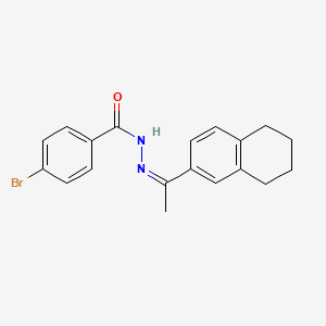 molecular formula C19H19BrN2O B3856733 4-bromo-N'-[1-(5,6,7,8-tetrahydro-2-naphthalenyl)ethylidene]benzohydrazide 