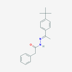 molecular formula C20H24N2O B385806 N'-[1-(4-tert-butylphenyl)ethylidene]-2-phenylacetohydrazide 