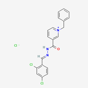 molecular formula C20H16Cl3N3O B3858188 1-benzyl-3-{[2-(2,4-dichlorobenzylidene)hydrazino]carbonyl}pyridinium chloride 