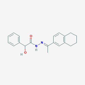 molecular formula C20H22N2O2 B3859728 2-hydroxy-2-phenyl-N'-[1-(5,6,7,8-tetrahydro-2-naphthalenyl)ethylidene]acetohydrazide 