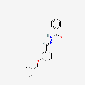 molecular formula C25H26N2O2 B3860387 N'-[3-(benzyloxy)benzylidene]-4-tert-butylbenzohydrazide 