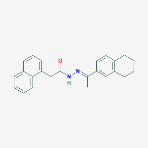 molecular formula C24H24N2O B3860765 2-(1-naphthyl)-N'-[1-(5,6,7,8-tetrahydro-2-naphthalenyl)ethylidene]acetohydrazide 