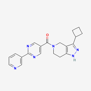 molecular formula C20H20N6O B3860888 3-cyclobutyl-5-[(2-pyridin-3-ylpyrimidin-5-yl)carbonyl]-4,5,6,7-tetrahydro-1H-pyrazolo[4,3-c]pyridine 