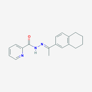 molecular formula C18H19N3O B3860896 N'-[1-(5,6,7,8-tetrahydro-2-naphthalenyl)ethylidene]-2-pyridinecarbohydrazide 
