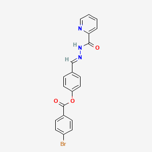 molecular formula C20H14BrN3O3 B3861653 4-[2-(2-pyridinylcarbonyl)carbonohydrazonoyl]phenyl 4-bromobenzoate CAS No. 5533-13-1
