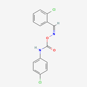 molecular formula C14H10Cl2N2O2 B3861706 2-chlorobenzaldehyde O-{[(4-chlorophenyl)amino]carbonyl}oxime 
