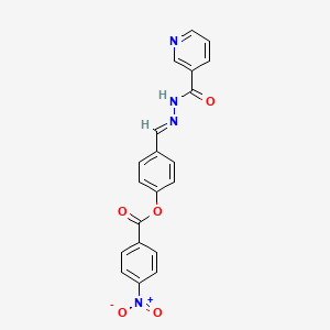 molecular formula C20H14N4O5 B3862213 4-[2-(3-pyridinylcarbonyl)carbonohydrazonoyl]phenyl 4-nitrobenzoate 