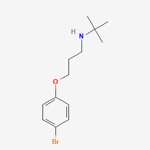molecular formula C13H20BrNO B3862552 3-(4-bromophenoxy)-N-(tert-butyl)-1-propanamine 