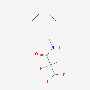 molecular formula C11H17F4NO B3862599 N-cyclooctyl-2,2,3,3-tetrafluoropropanamide 