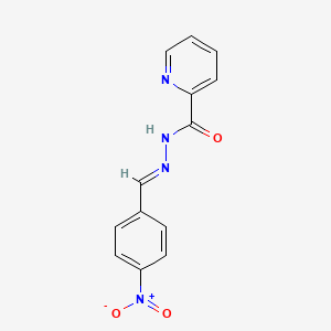 molecular formula C13H10N4O3 B3862872 N'-(4-nitrobenzylidene)-2-pyridinecarbohydrazide CAS No. 156305-88-3