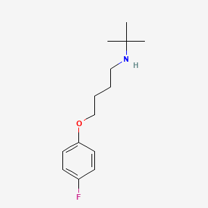 molecular formula C14H22FNO B3862914 N-(tert-butyl)-4-(4-fluorophenoxy)-1-butanamine 