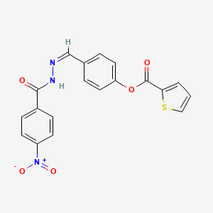 molecular formula C19H13N3O5S B3864281 4-[2-(4-nitrobenzoyl)carbonohydrazonoyl]phenyl 2-thiophenecarboxylate 