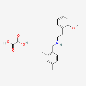 molecular formula C20H25NO5 B3864796 N-(2,4-dimethylbenzyl)-2-(2-methoxyphenyl)ethanamine oxalate 