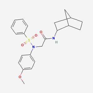 molecular formula C22H26N2O4S B3865453 N~1~-bicyclo[2.2.1]hept-2-yl-N~2~-(4-methoxyphenyl)-N~2~-(phenylsulfonyl)glycinamide 