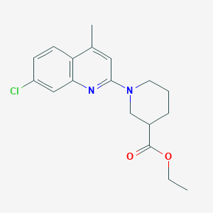 ethyl 1-(7-chloro-4-methyl-2-quinolinyl)-3-piperidinecarboxylate