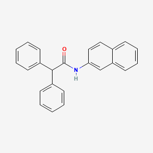 molecular formula C24H19NO B3866347 N-2-naphthyl-2,2-diphenylacetamide CAS No. 7505-88-6