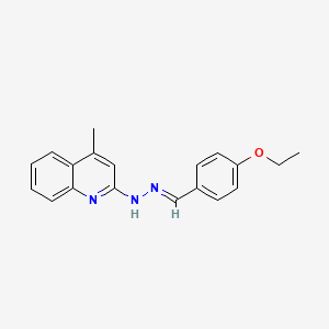 molecular formula C19H19N3O B3866525 4-ethoxybenzaldehyde (4-methyl-2-quinolinyl)hydrazone 